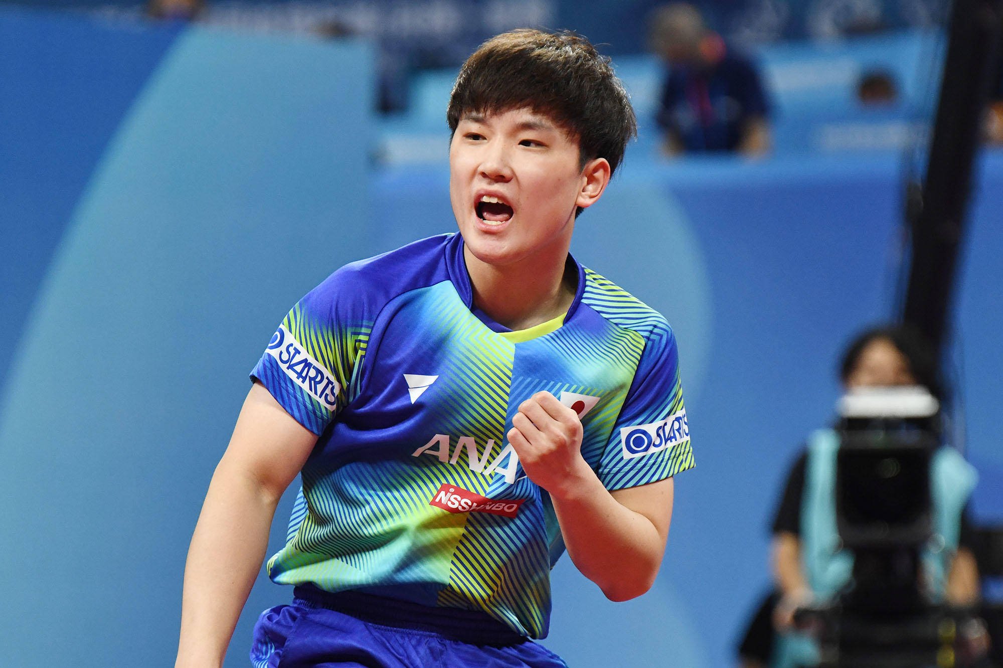 历史与未来 历史与未来